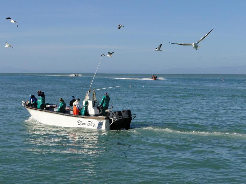 0 Bedroom Property for Sale in Da Gama Bay Western Cape